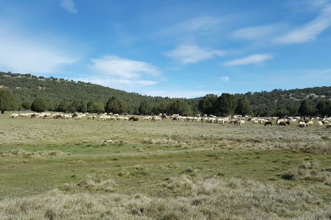 Serranía de Cuenca