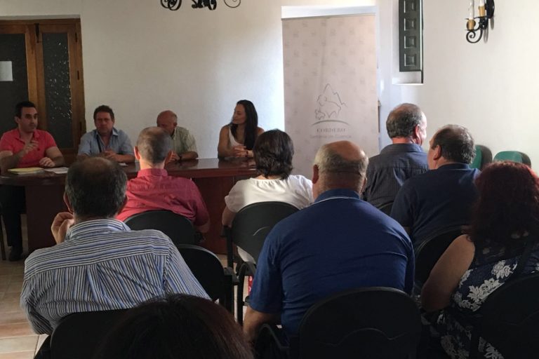 Cordero Serranía de Cuenca