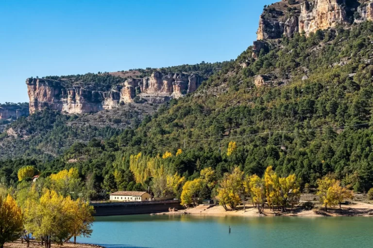 Día Internacional de la Protección de la Naturaleza